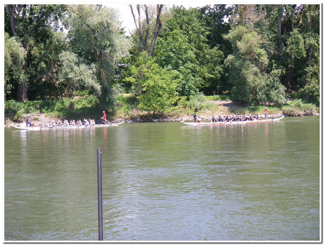 Drachenboot 2016 533