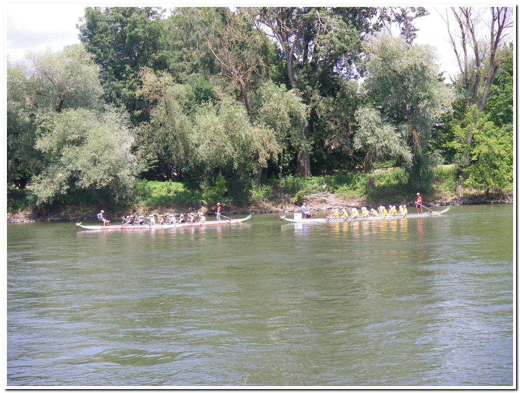 Drachenboot 2016 535