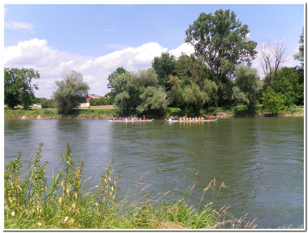 Drachenboot 2016 536