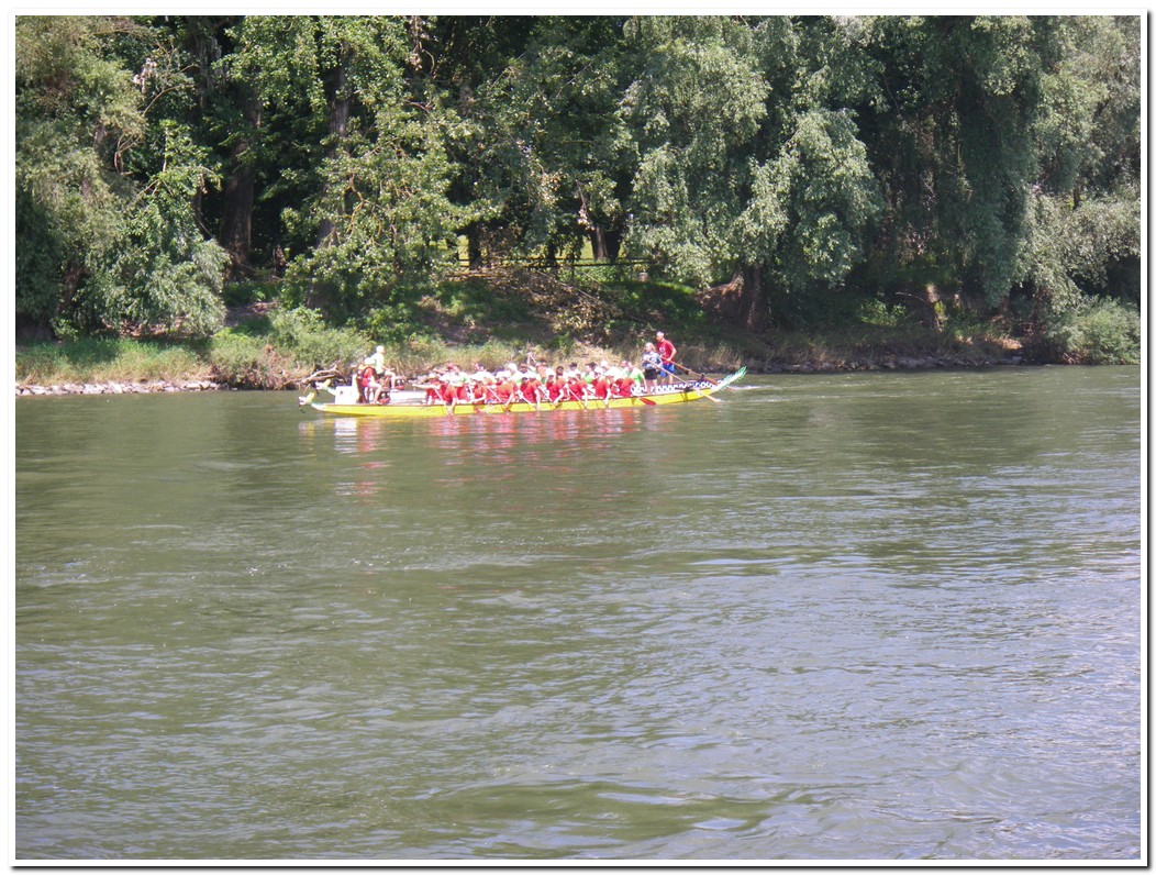 Drachenboot 2016 539