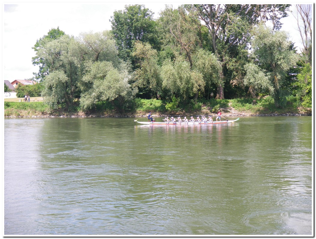 Drachenboot 2016 545