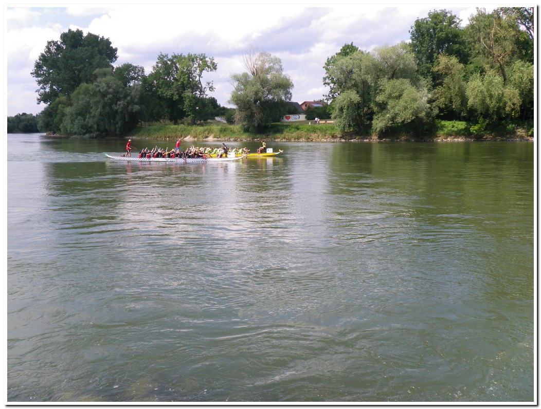 Drachenboot 2016 546
