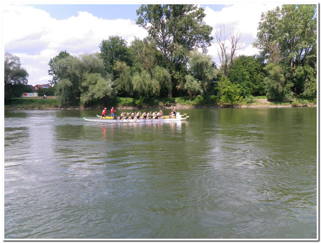 Drachenboot 2016 547