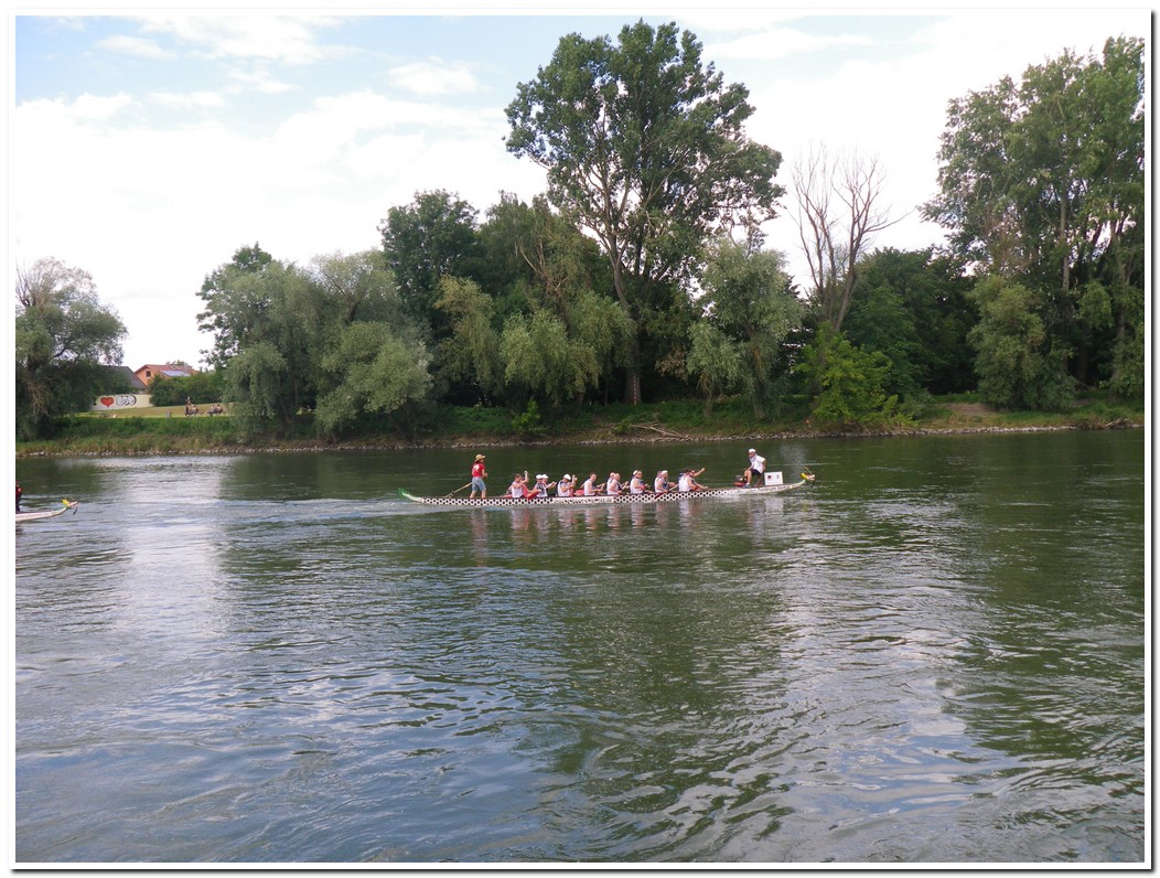 Drachenboot 2016 552