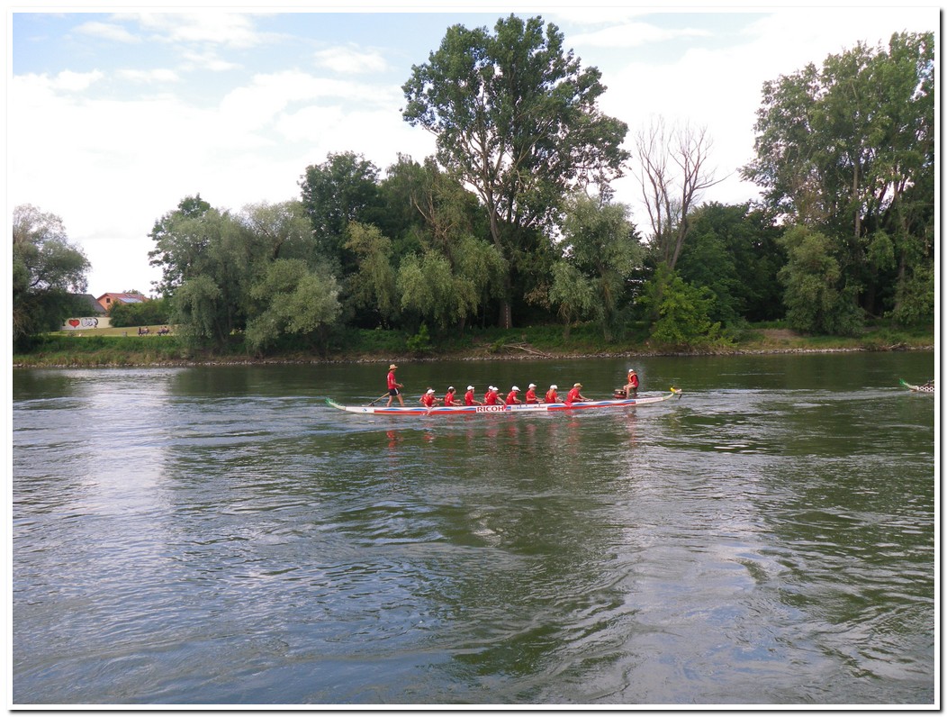 Drachenboot 2016 553