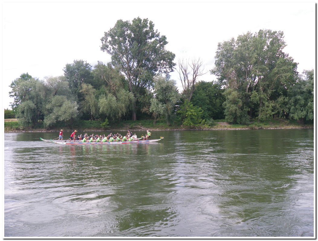 Drachenboot 2016 555