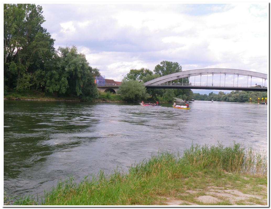 Drachenboot 2016 557a