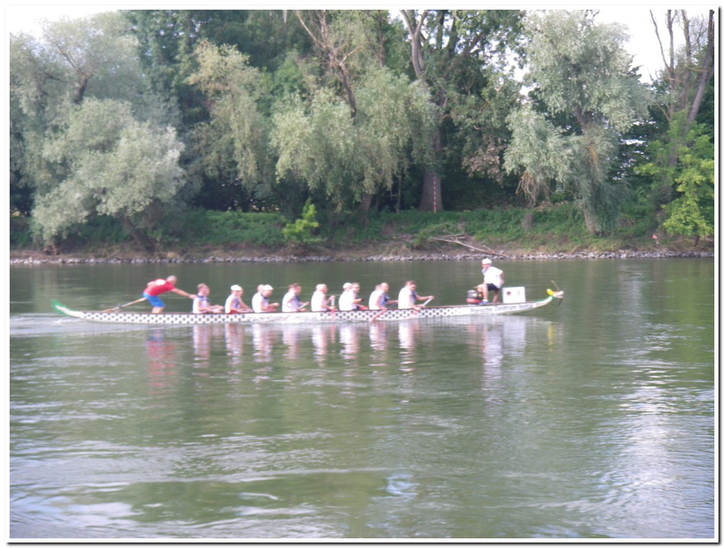 Drachenboot 2016 559